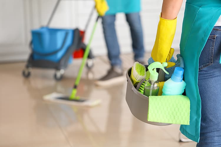 Home and Commercial Cleaning Services in Den Haag